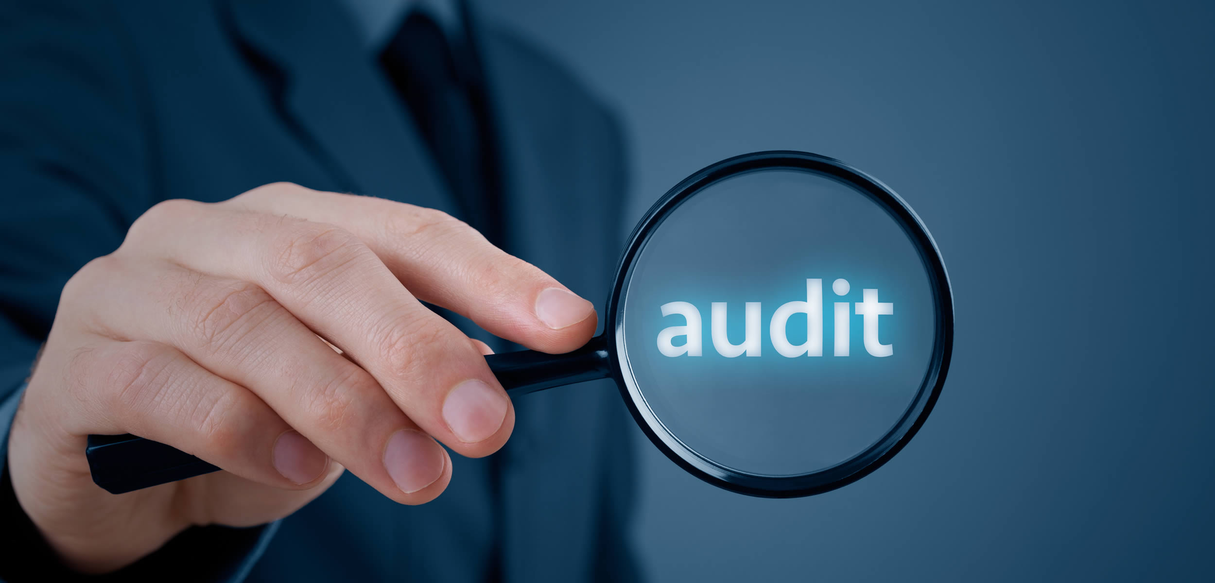 Tax Auditing Services